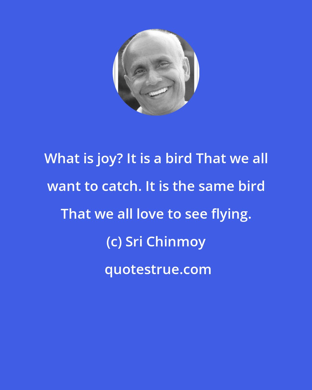 Sri Chinmoy: What is joy? It is a bird That we all want to catch. It is the same bird That we all love to see flying.