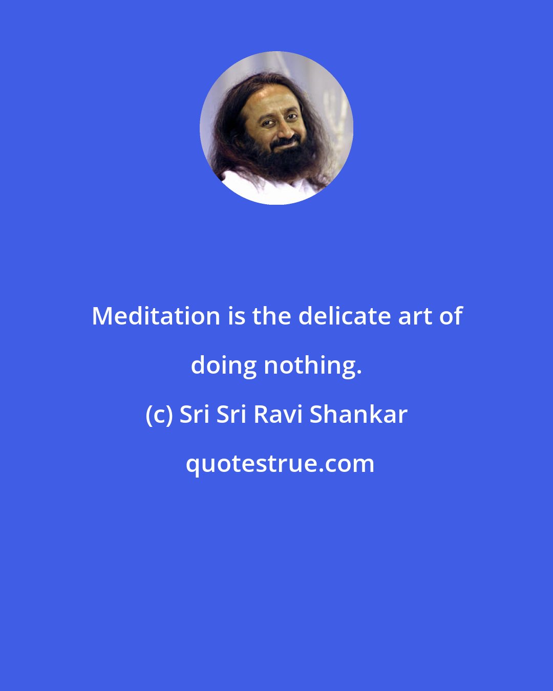 Sri Sri Ravi Shankar: Meditation is the delicate art of doing nothing.