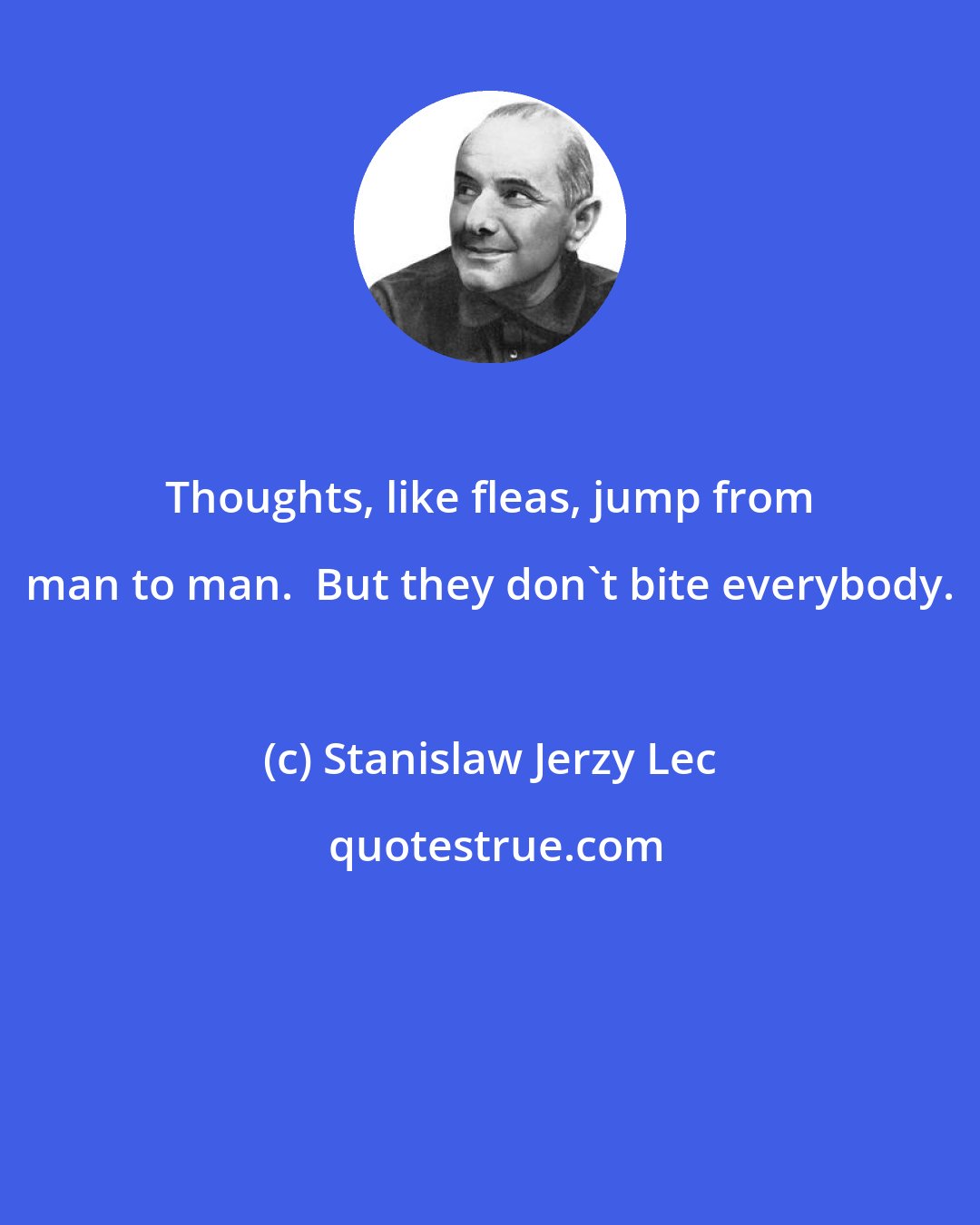 Stanislaw Jerzy Lec: Thoughts, like fleas, jump from man to man.  But they don't bite everybody.
