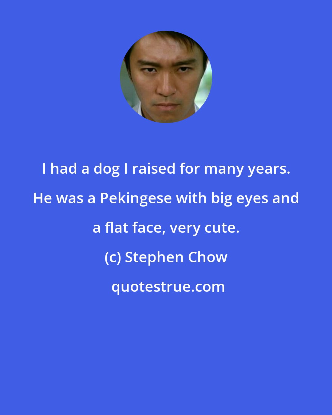 Stephen Chow: I had a dog I raised for many years. He was a Pekingese with big eyes and a flat face, very cute.