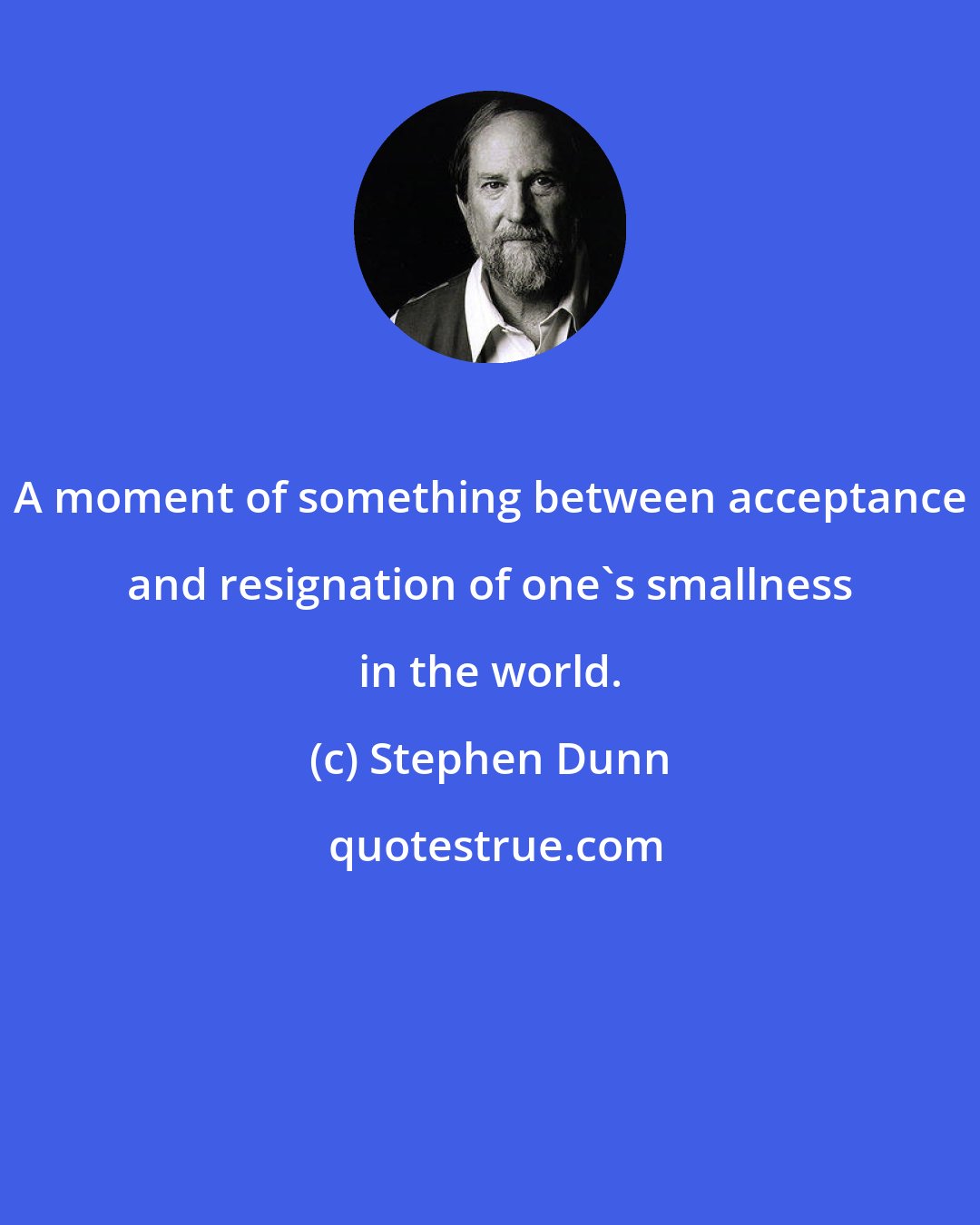 Stephen Dunn: A moment of something between acceptance and resignation of one's smallness in the world.