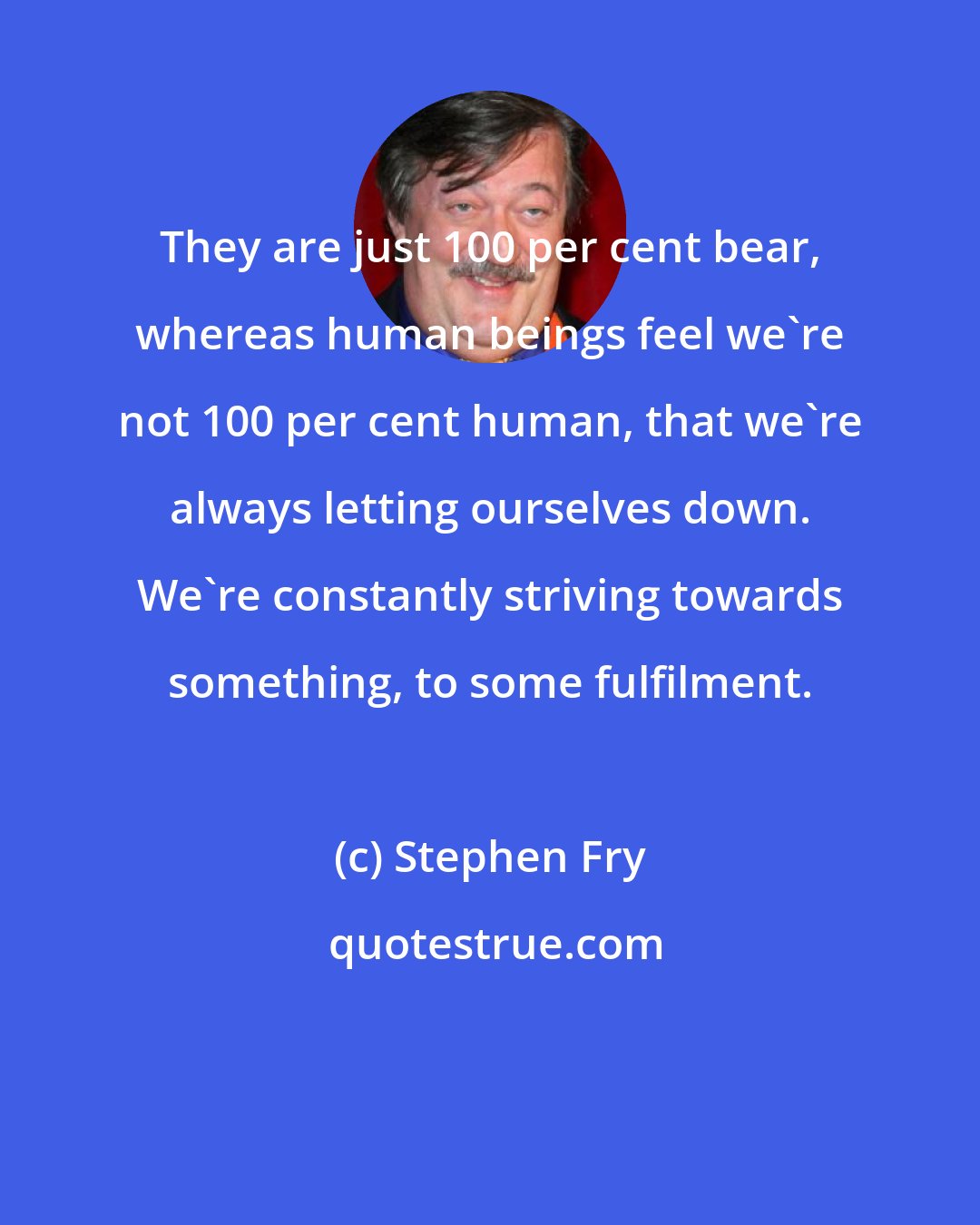 Stephen Fry: They are just 100 per cent bear, whereas human beings feel we're not 100 per cent human, that we're always letting ourselves down. We're constantly striving towards something, to some fulfilment.