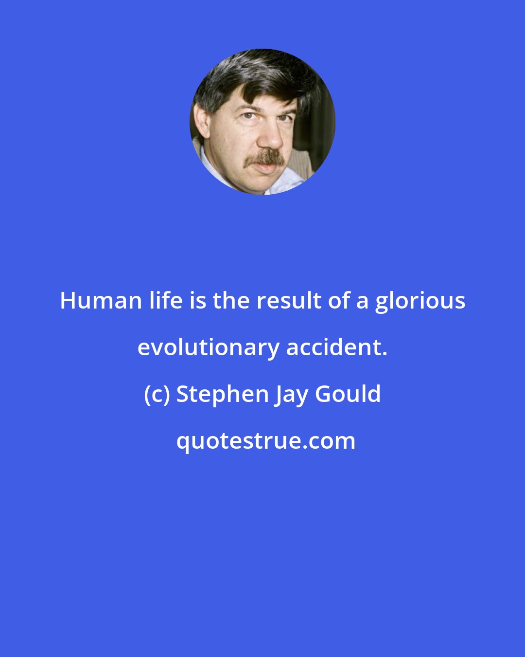 Stephen Jay Gould: Human life is the result of a glorious evolutionary accident.