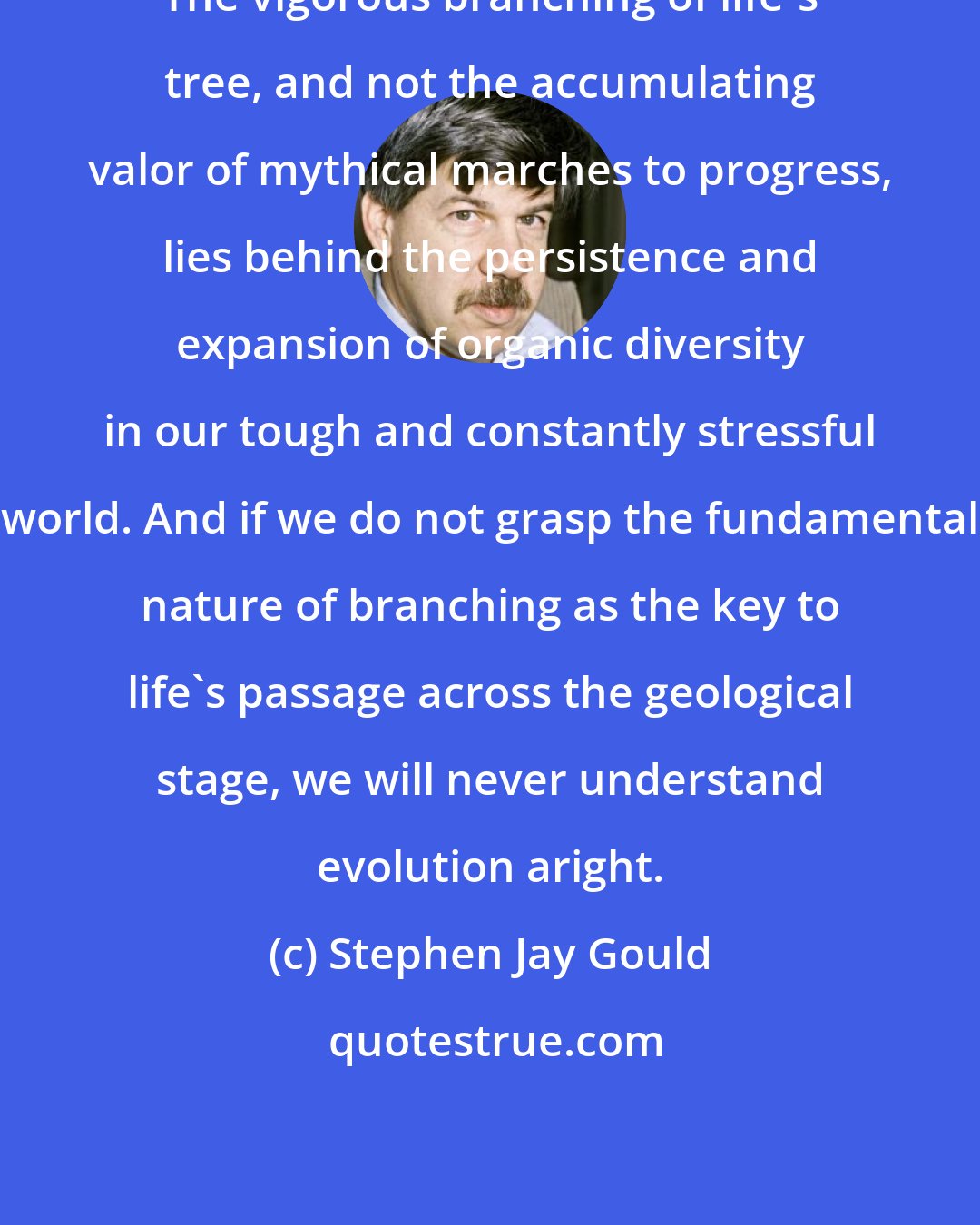 Stephen Jay Gould: The vigorous branching of life's tree, and not the accumulating valor of mythical marches to progress, lies behind the persistence and expansion of organic diversity in our tough and constantly stressful world. And if we do not grasp the fundamental nature of branching as the key to life's passage across the geological stage, we will never understand evolution aright.