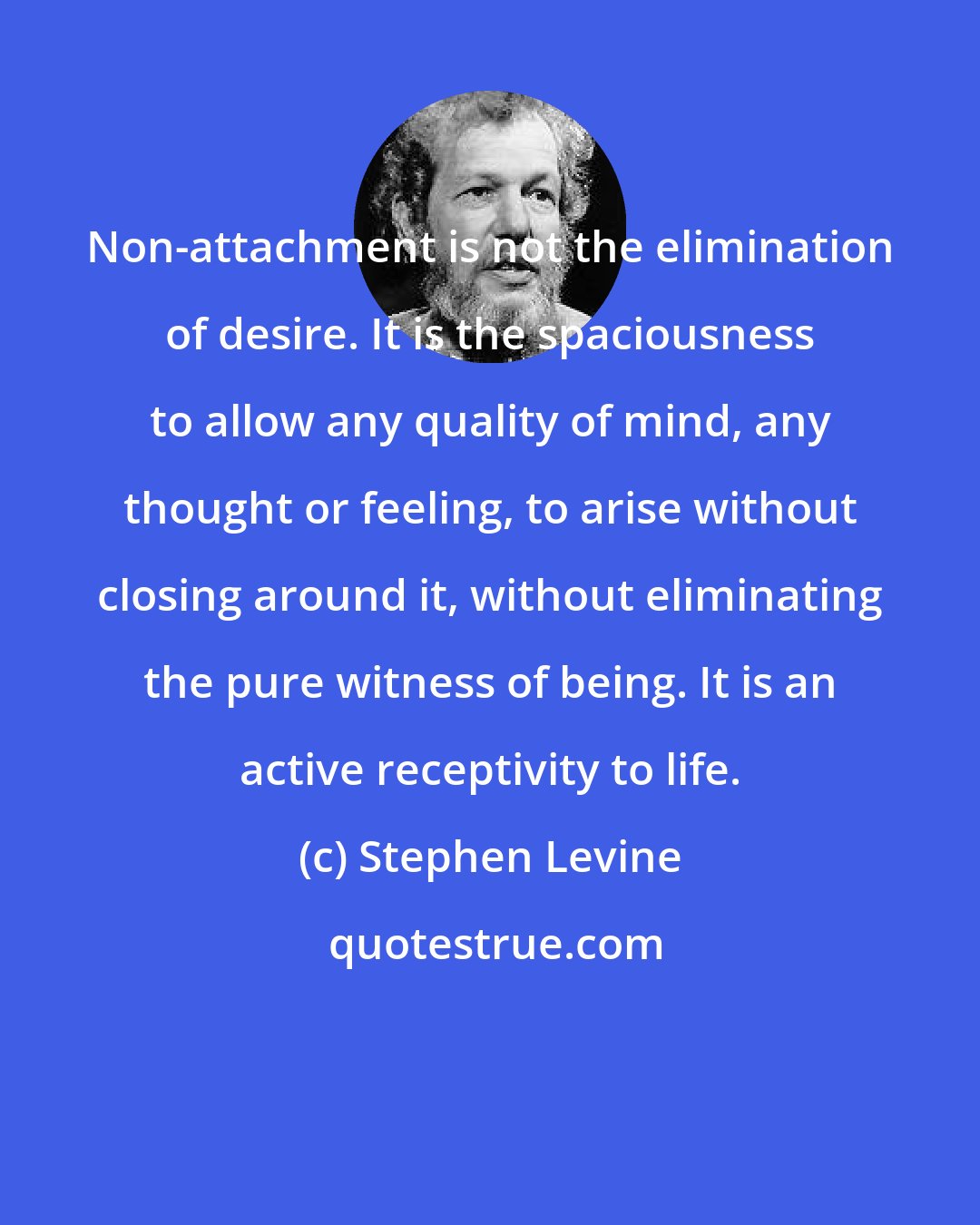 Stephen Levine: Non-attachment is not the elimination of desire. It is the spaciousness to allow any quality of mind, any thought or feeling, to arise without closing around it, without eliminating the pure witness of being. It is an active receptivity to life.