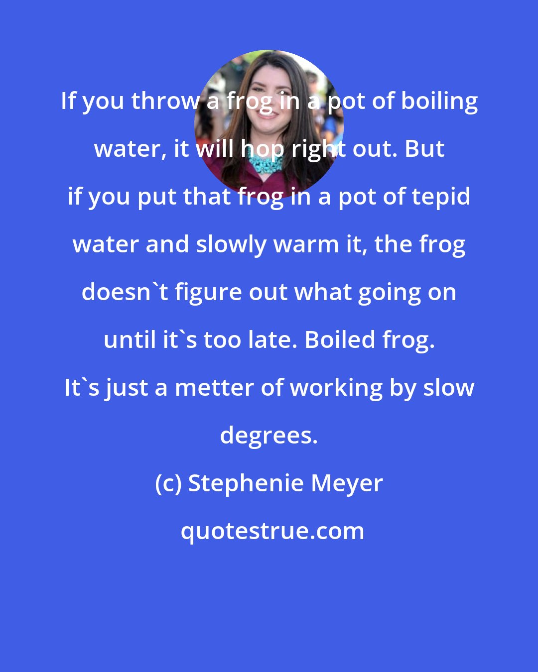 Stephenie Meyer: If you throw a frog in a pot of boiling water, it will hop right out. But if you put that frog in a pot of tepid water and slowly warm it, the frog doesn't figure out what going on until it's too late. Boiled frog. It's just a metter of working by slow degrees.