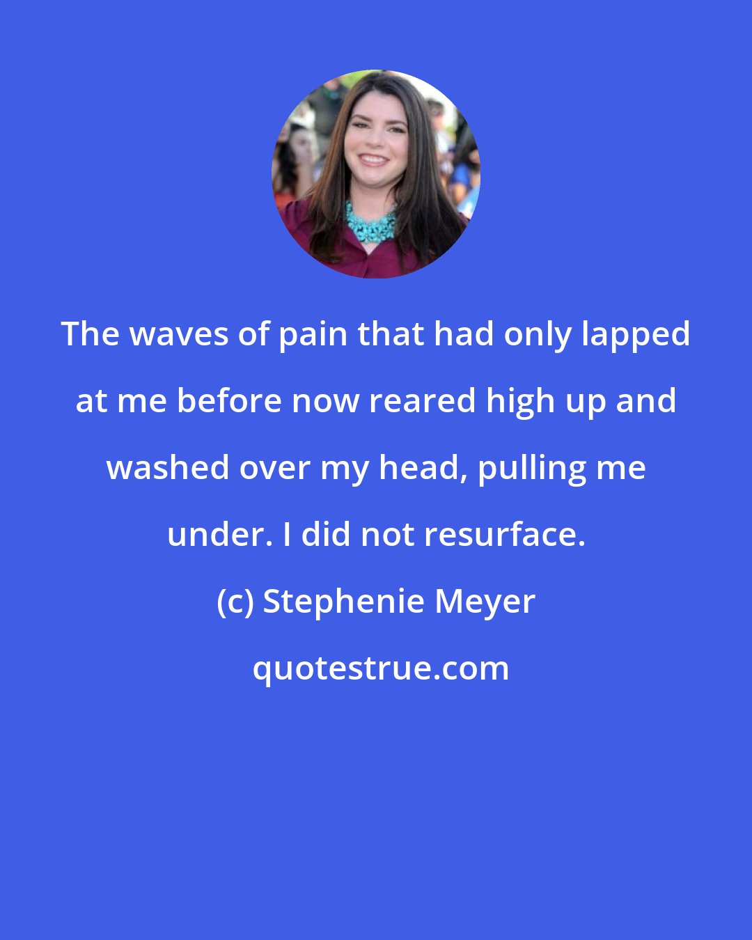 Stephenie Meyer: The waves of pain that had only lapped at me before now reared high up and washed over my head, pulling me under. I did not resurface.