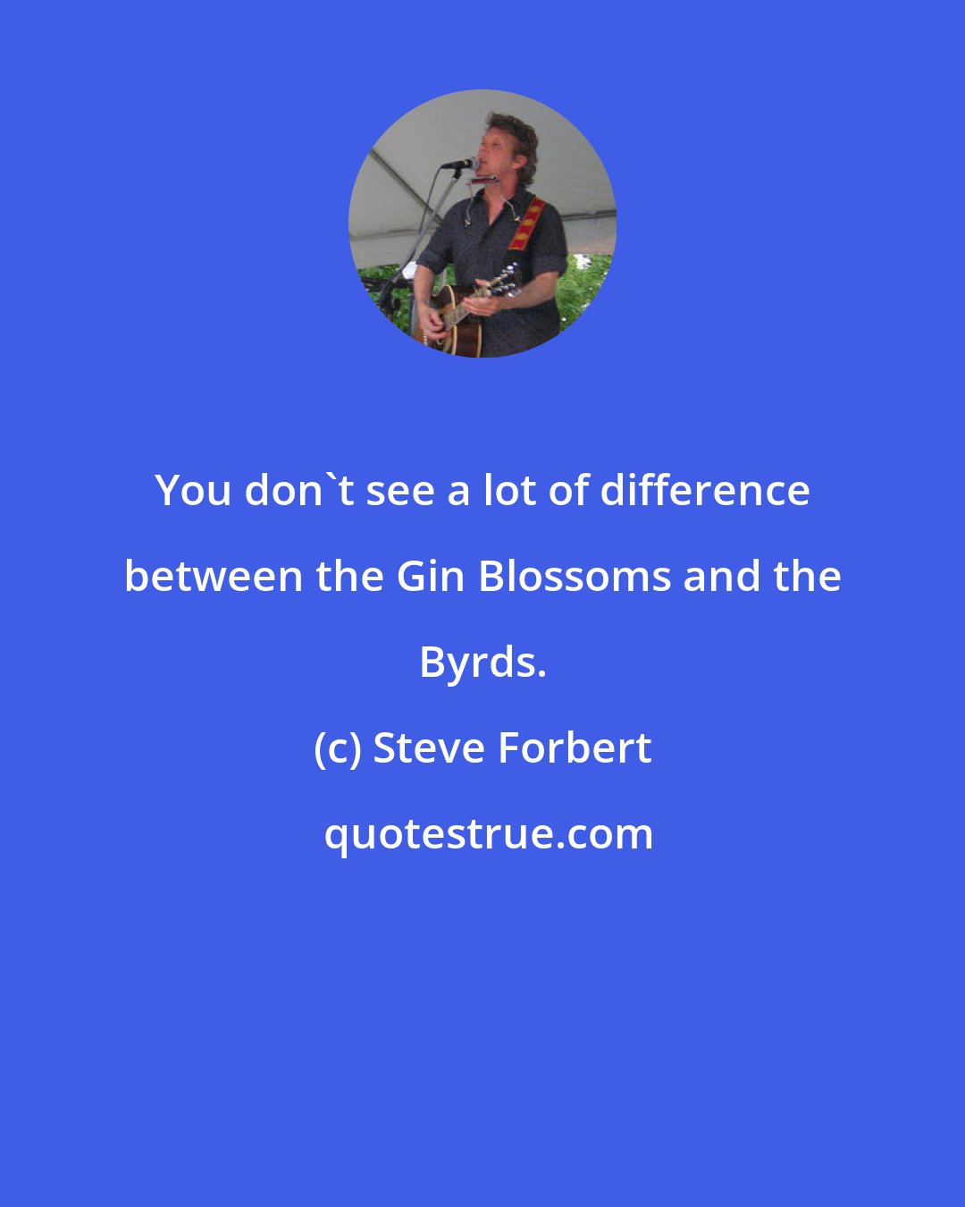 Steve Forbert: You don't see a lot of difference between the Gin Blossoms and the Byrds.