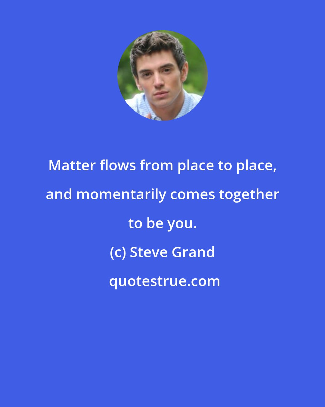 Steve Grand: Matter flows from place to place, and momentarily comes together to be you.