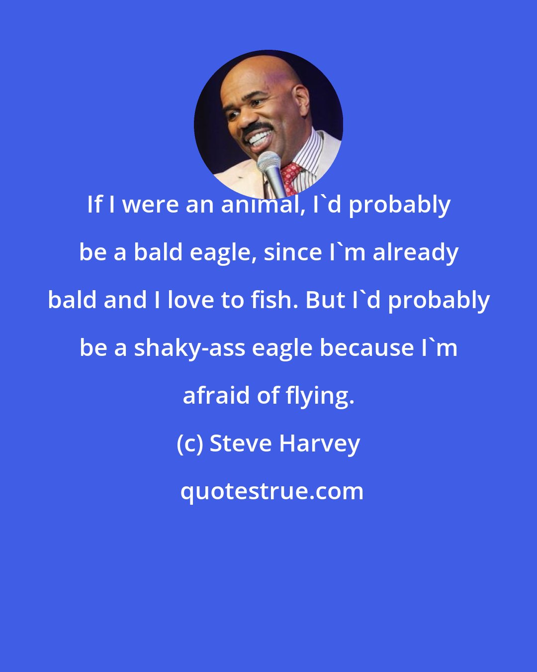 Steve Harvey: If I were an animal, I'd probably be a bald eagle, since I'm already bald and I love to fish. But I'd probably be a shaky-ass eagle because I'm afraid of flying.