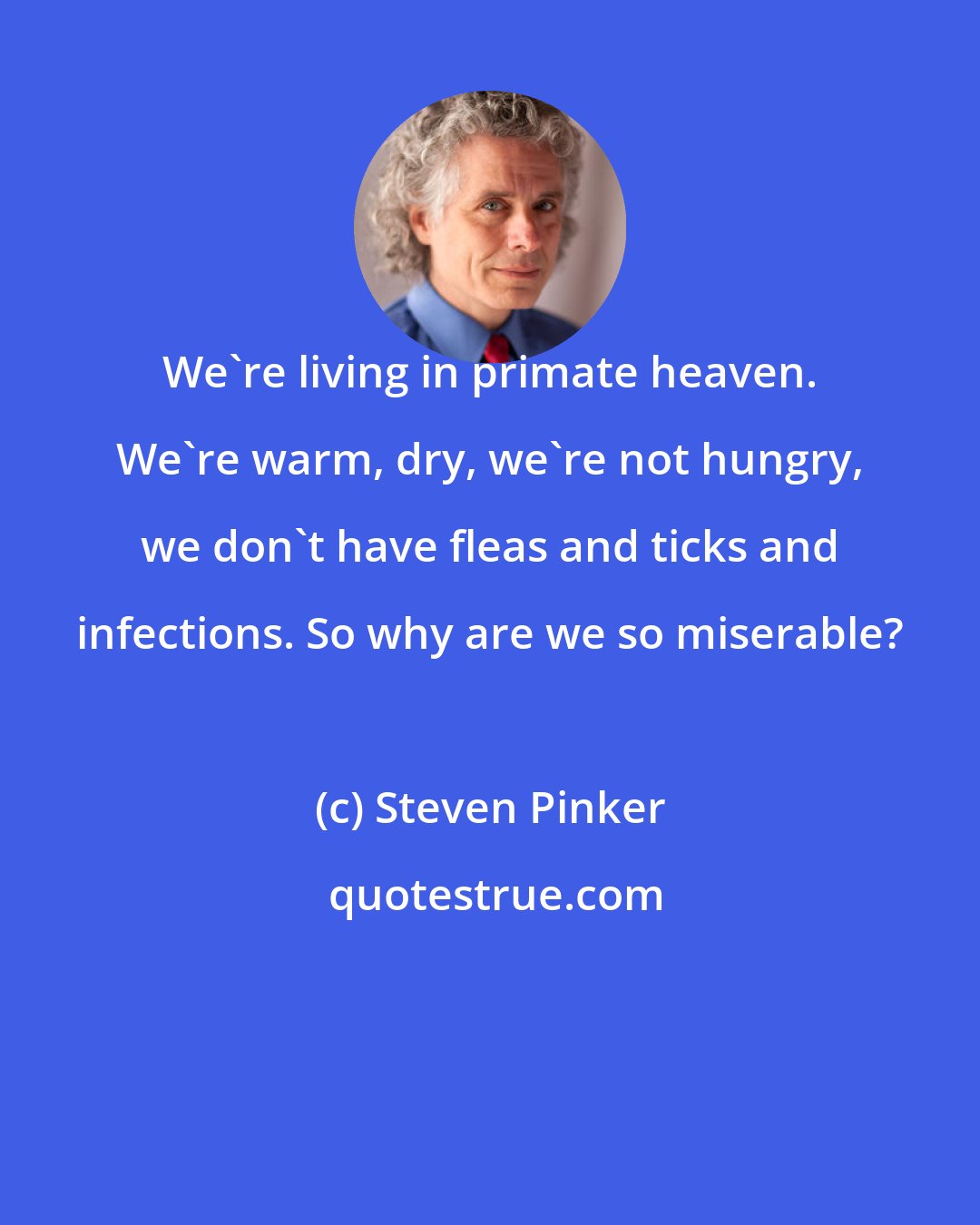 Steven Pinker: We're living in primate heaven. We're warm, dry, we're not hungry, we don't have fleas and ticks and infections. So why are we so miserable?