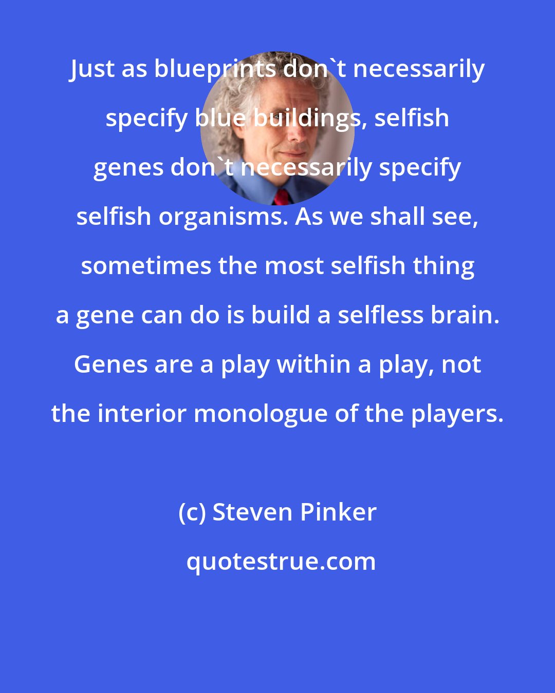 Steven Pinker: Just as blueprints don't necessarily specify blue buildings, selfish genes don't necessarily specify selfish organisms. As we shall see, sometimes the most selfish thing a gene can do is build a selfless brain. Genes are a play within a play, not the interior monologue of the players.