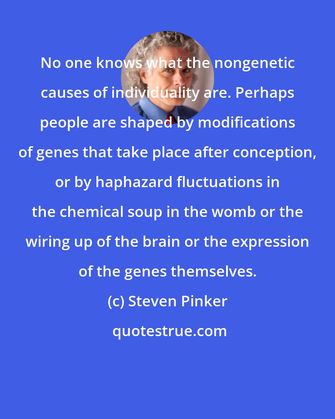 Steven Pinker: No one knows what the nongenetic causes of individuality are. Perhaps people are shaped by modifications of genes that take place after conception, or by haphazard fluctuations in the chemical soup in the womb or the wiring up of the brain or the expression of the genes themselves.