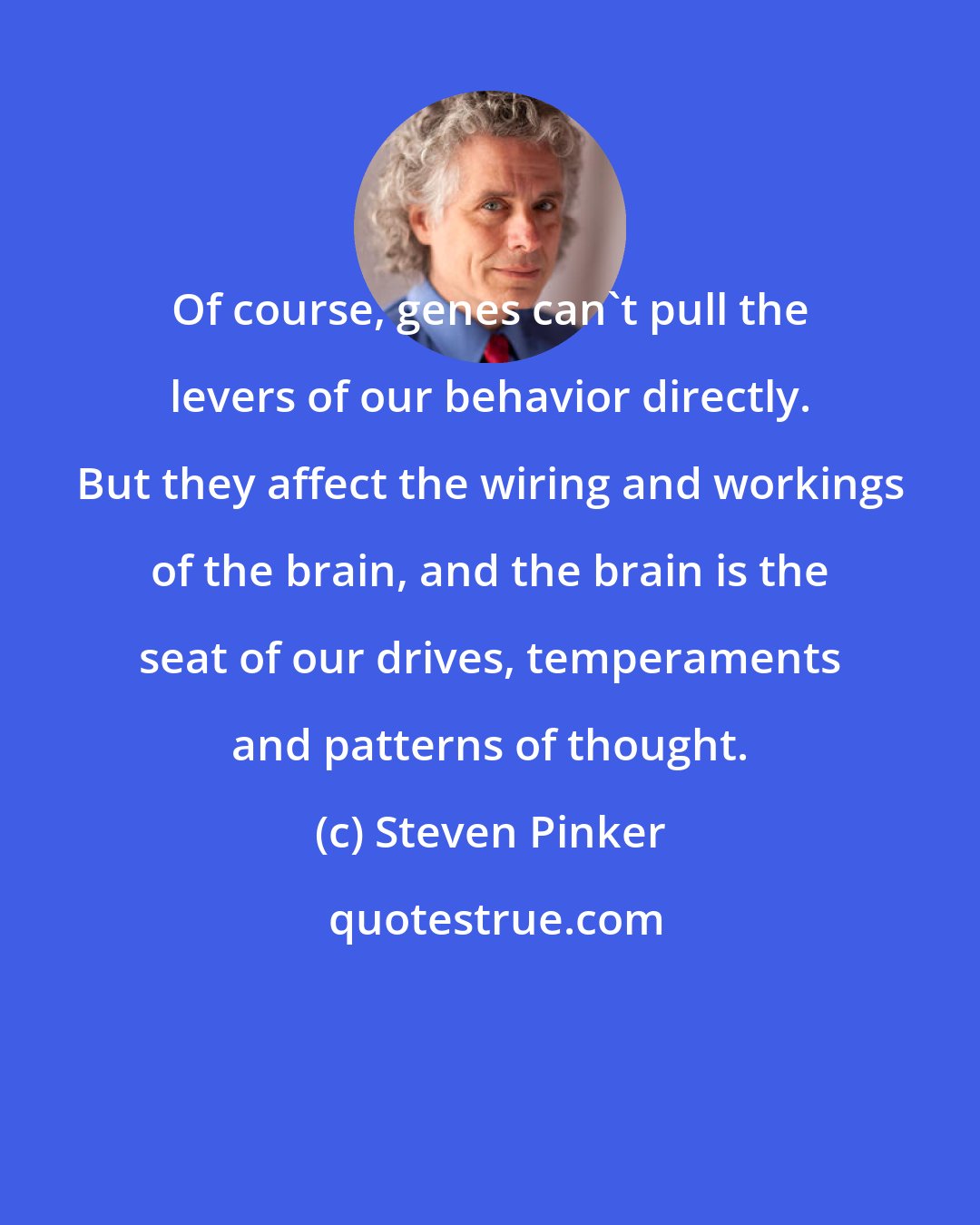 Steven Pinker: Of course, genes can't pull the levers of our behavior directly. But they affect the wiring and workings of the brain, and the brain is the seat of our drives, temperaments and patterns of thought.