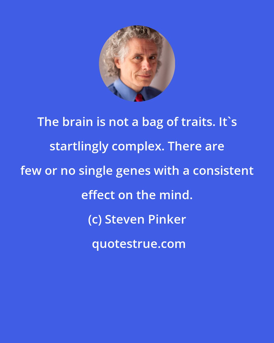 Steven Pinker: The brain is not a bag of traits. It's startlingly complex. There are few or no single genes with a consistent effect on the mind.