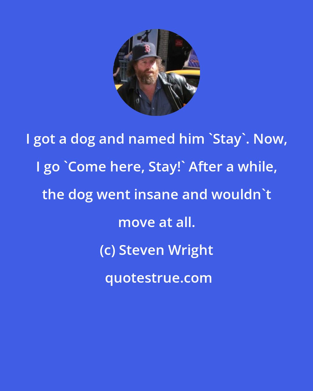 Steven Wright: I got a dog and named him 'Stay'. Now, I go 'Come here, Stay!' After a while, the dog went insane and wouldn't move at all.