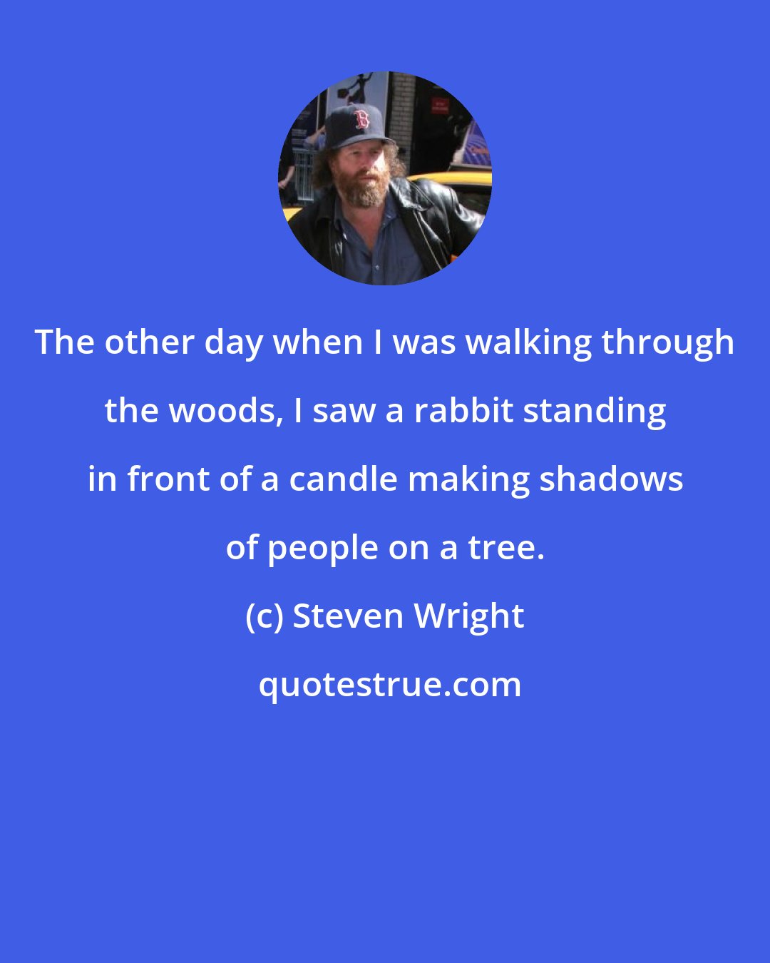 Steven Wright: The other day when I was walking through the woods, I saw a rabbit standing in front of a candle making shadows of people on a tree.