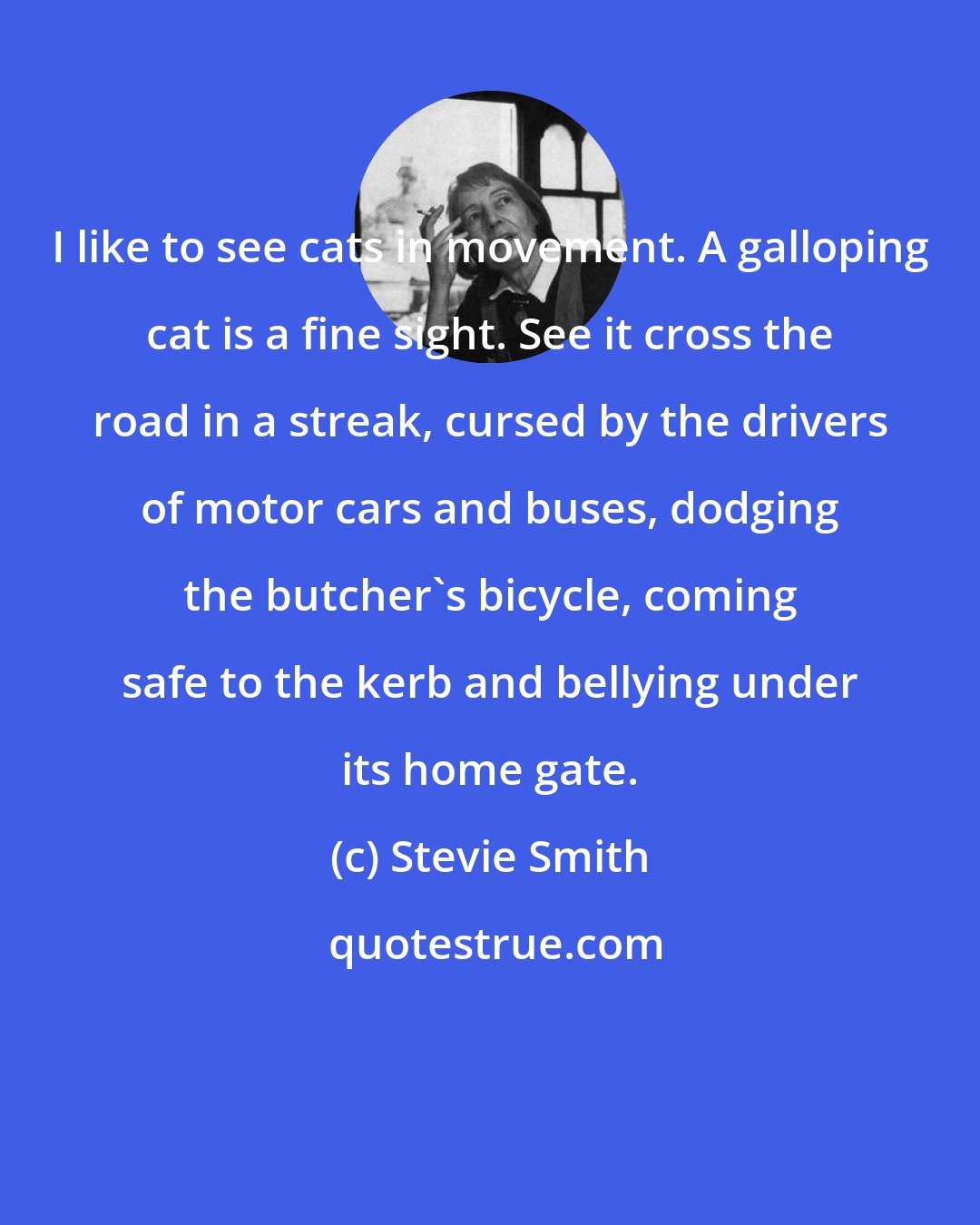 Stevie Smith: I like to see cats in movement. A galloping cat is a fine sight. See it cross the road in a streak, cursed by the drivers of motor cars and buses, dodging the butcher's bicycle, coming safe to the kerb and bellying under its home gate.