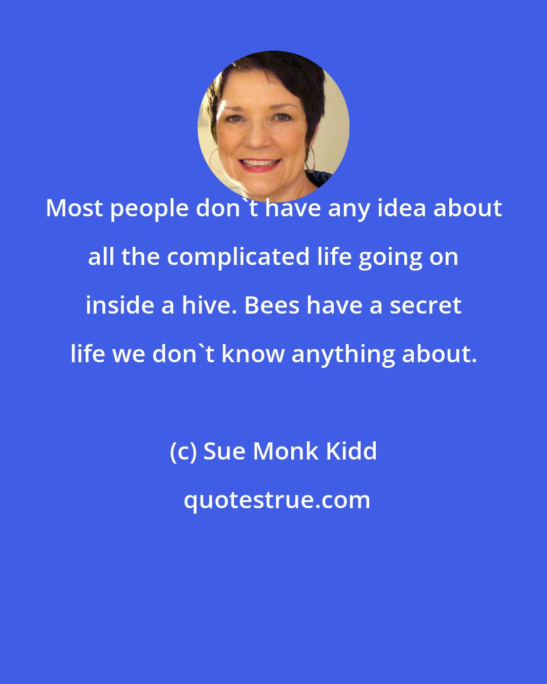 Sue Monk Kidd: Most people don't have any idea about all the complicated life going on inside a hive. Bees have a secret life we don't know anything about.