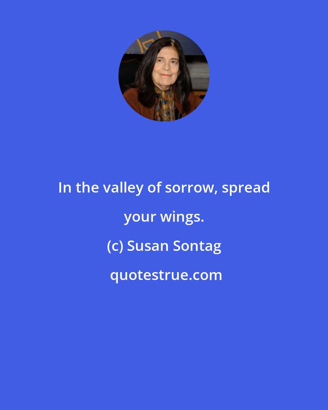 Susan Sontag: In the valley of sorrow, spread your wings.