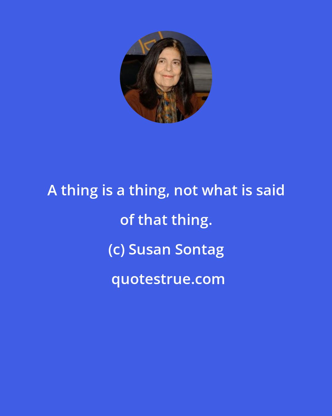 Susan Sontag: A thing is a thing, not what is said of that thing.