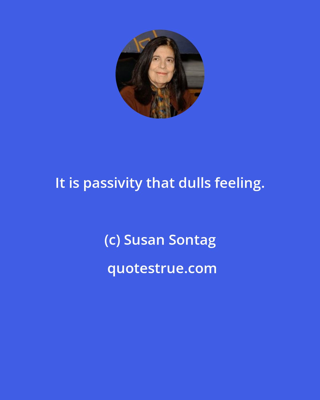 Susan Sontag: It is passivity that dulls feeling.