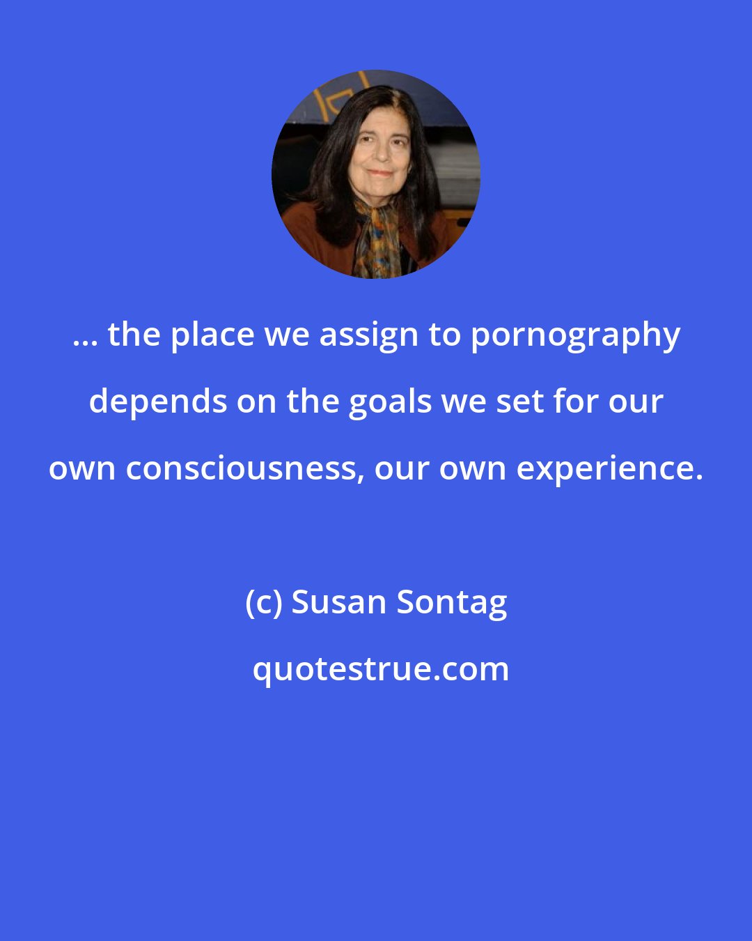 Susan Sontag: ... the place we assign to pornography depends on the goals we set for our own consciousness, our own experience.