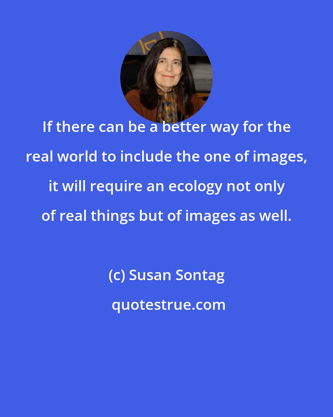 Susan Sontag: If there can be a better way for the real world to include the one of images, it will require an ecology not only of real things but of images as well.