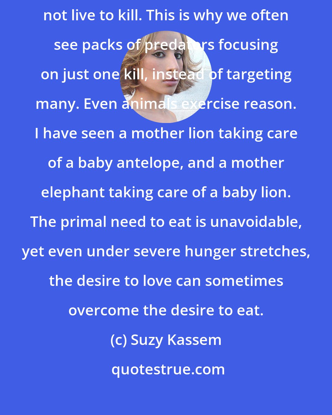 Suzy Kassem: Even animals have a conscience. Those in the jungle KILL only to eat, not live to kill. This is why we often see packs of predators focusing on just one kill, instead of targeting many. Even animals exercise reason. I have seen a mother lion taking care of a baby antelope, and a mother elephant taking care of a baby lion. The primal need to eat is unavoidable, yet even under severe hunger stretches, the desire to love can sometimes overcome the desire to eat.