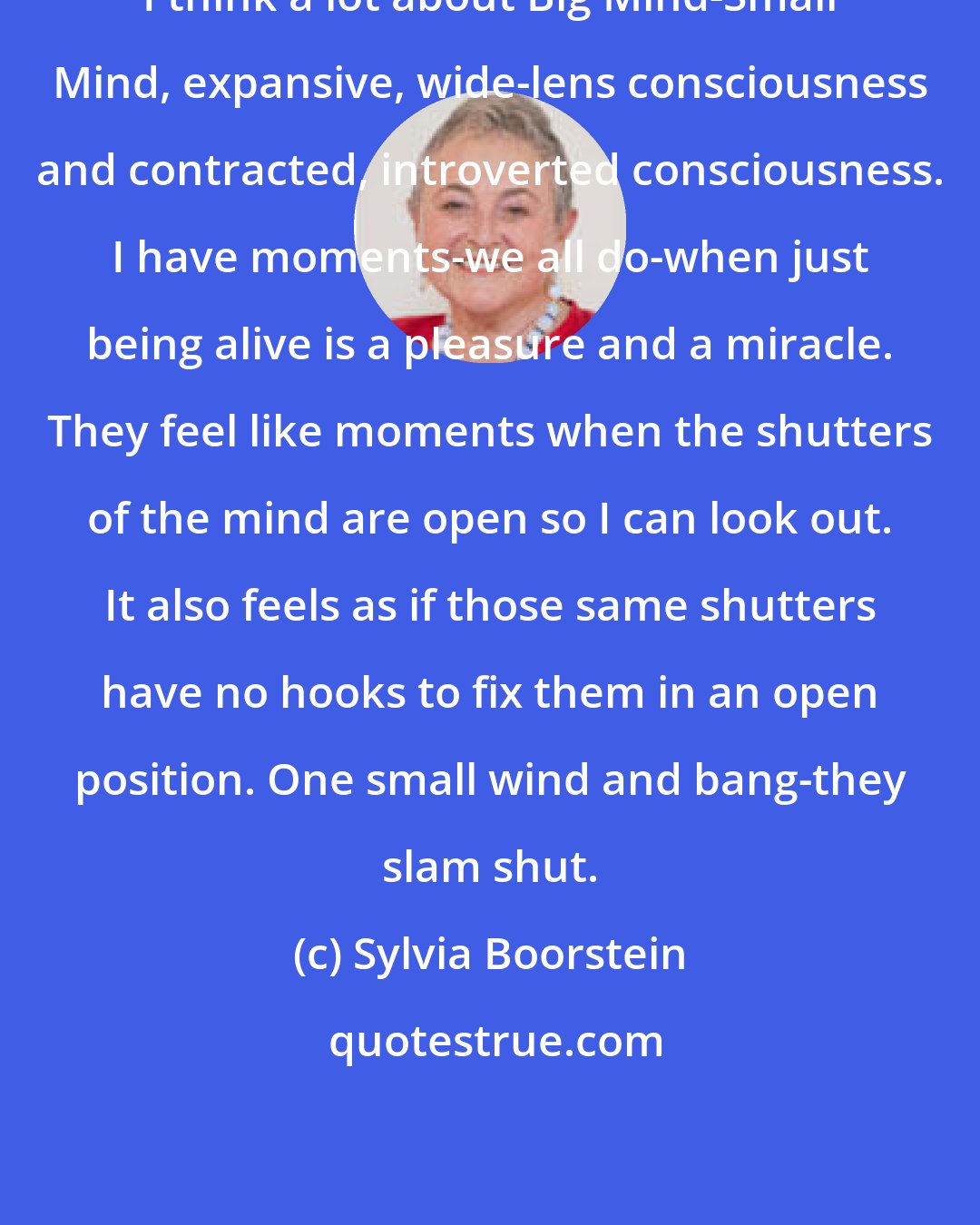 Sylvia Boorstein: I think a lot about Big Mind-Small Mind, expansive, wide-lens consciousness and contracted, introverted consciousness. I have moments-we all do-when just being alive is a pleasure and a miracle. They feel like moments when the shutters of the mind are open so I can look out. It also feels as if those same shutters have no hooks to fix them in an open position. One small wind and bang-they slam shut.