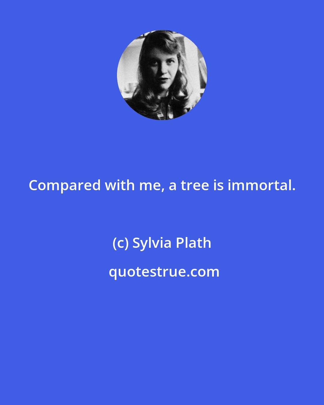 Sylvia Plath: Compared with me, a tree is immortal.