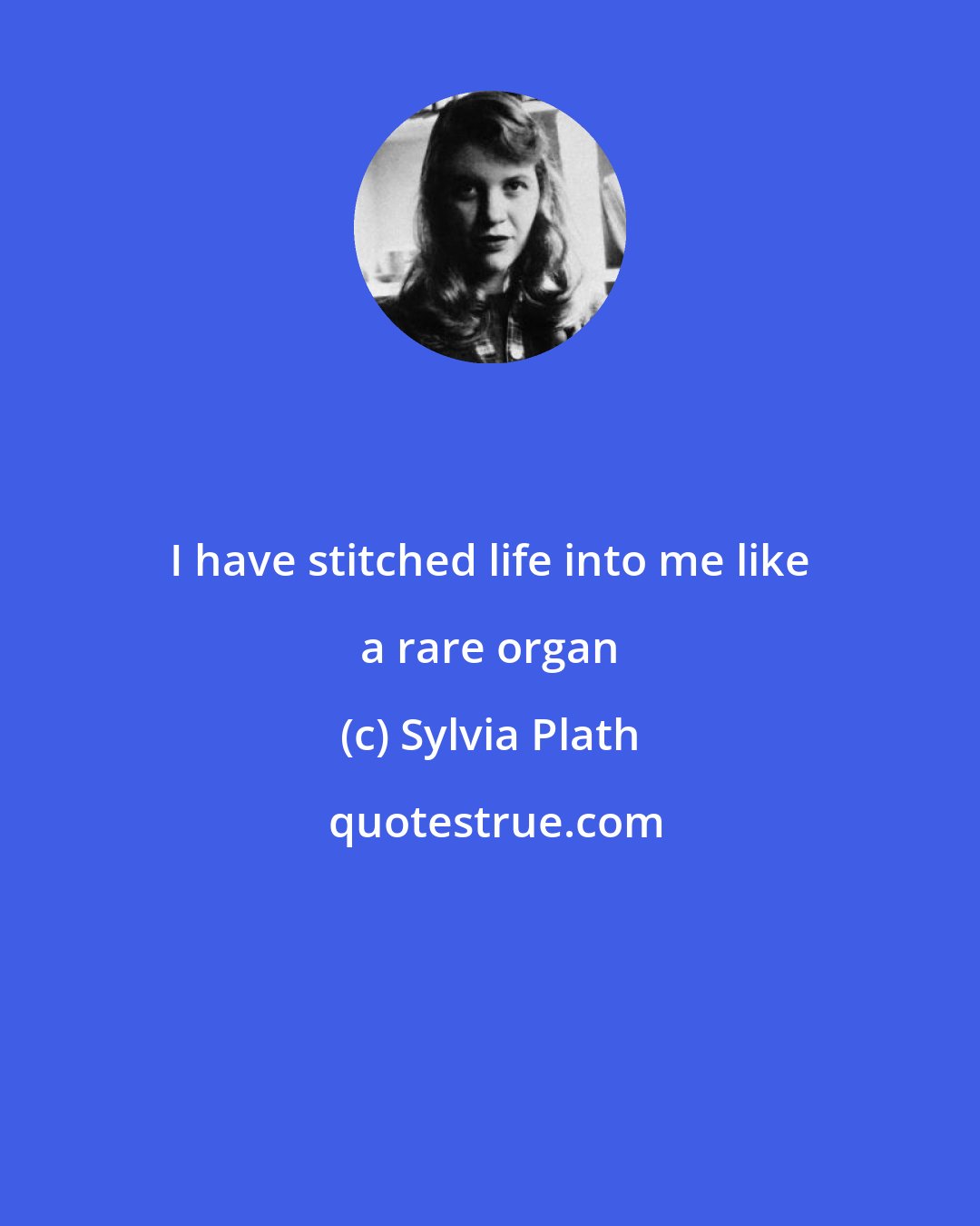 Sylvia Plath: I have stitched life into me like a rare organ