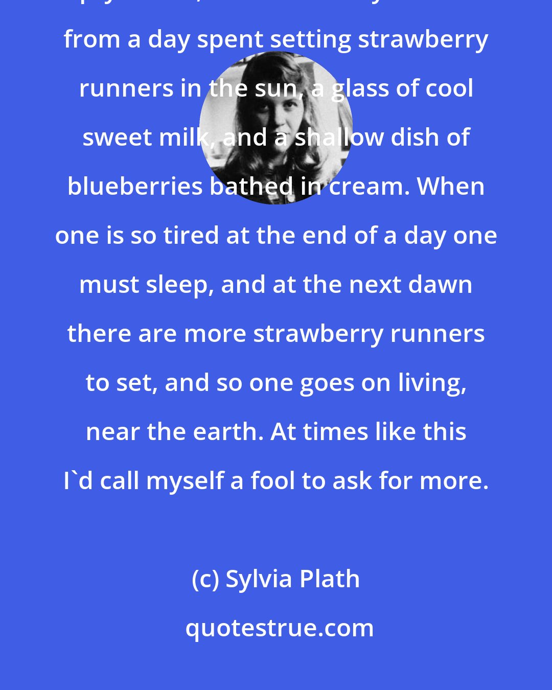 Sylvia Plath: I may never be happy, but tonight I am content. Nothing more than an empty house, the warm hazy weariness from a day spent setting strawberry runners in the sun, a glass of cool sweet milk, and a shallow dish of blueberries bathed in cream. When one is so tired at the end of a day one must sleep, and at the next dawn there are more strawberry runners to set, and so one goes on living, near the earth. At times like this I'd call myself a fool to ask for more.