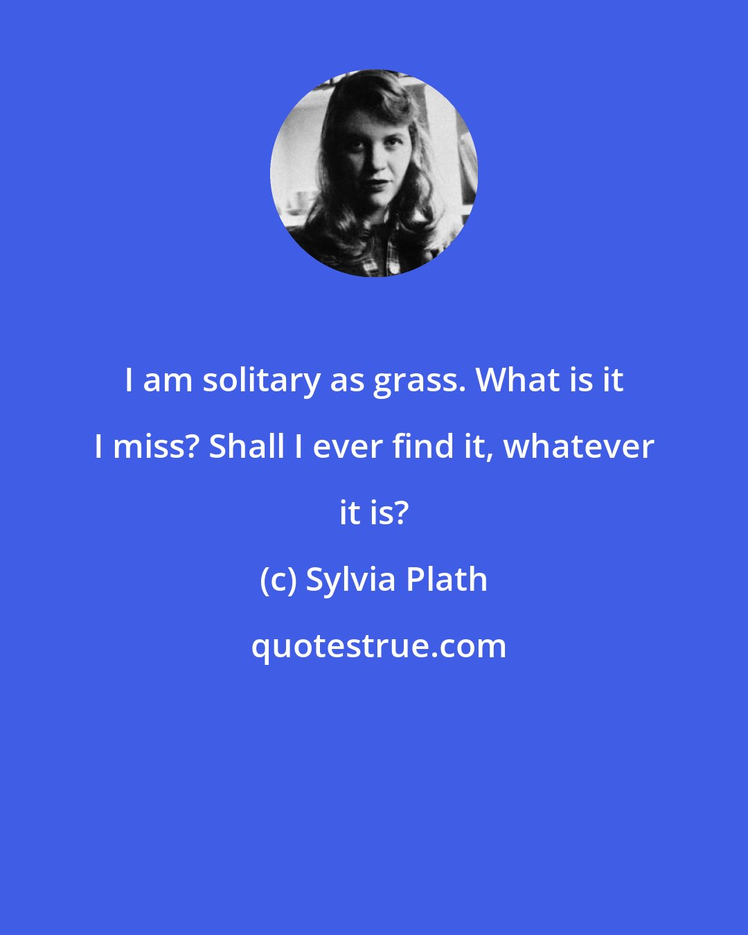 Sylvia Plath: I am solitary as grass. What is it I miss? Shall I ever find it, whatever it is?