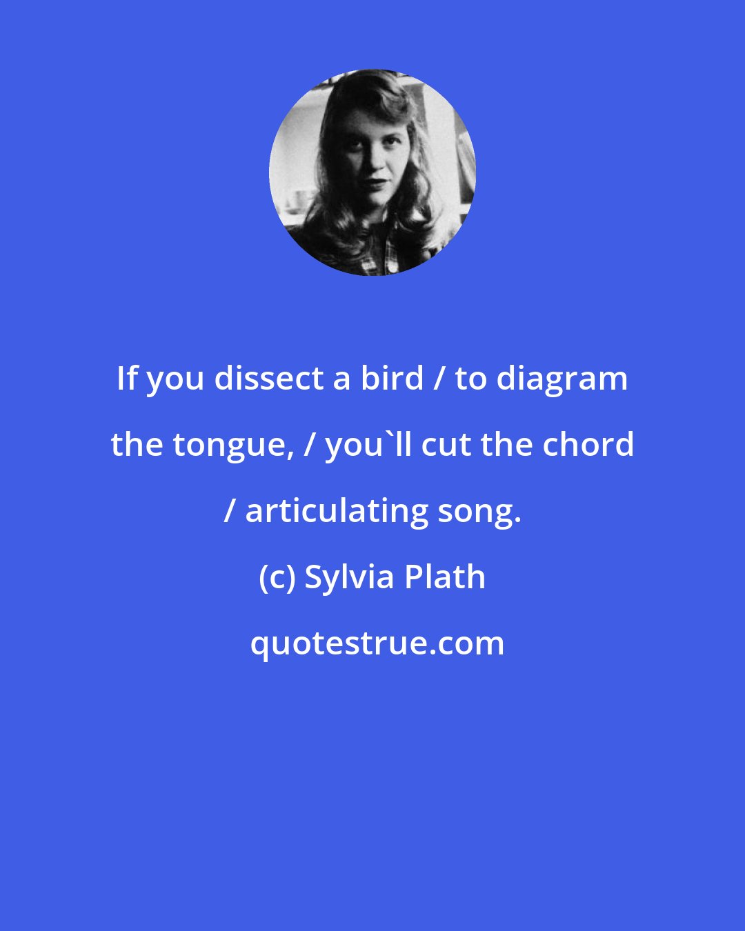 Sylvia Plath: If you dissect a bird / to diagram the tongue, / you'll cut the chord / articulating song.