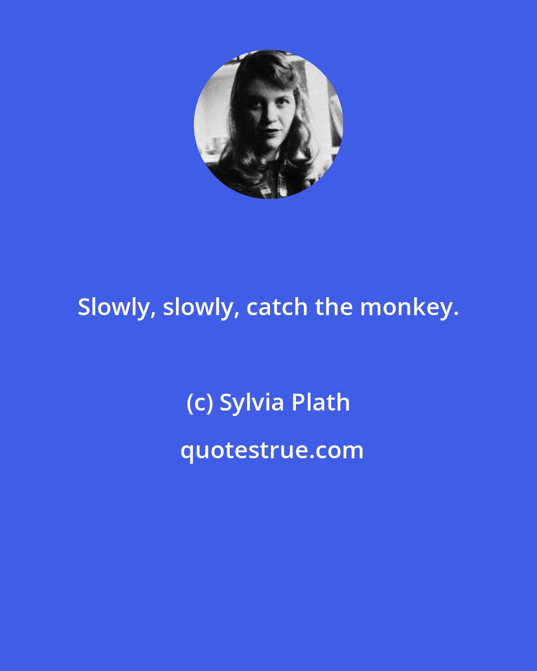 Sylvia Plath: Slowly, slowly, catch the monkey.