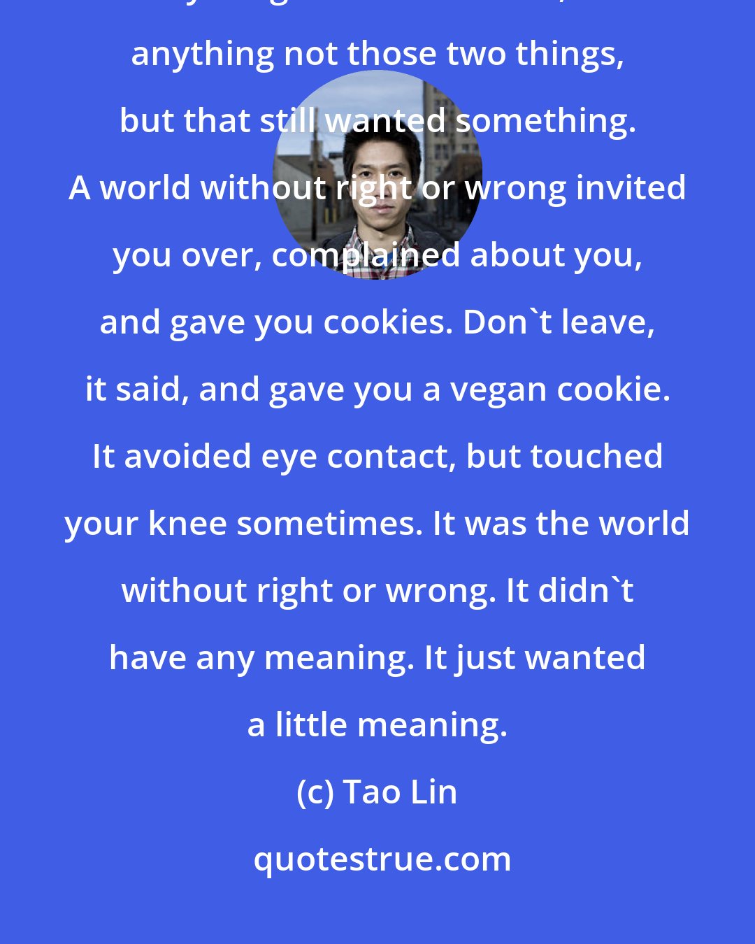 Tao Lin: A world without right or wrong was a world that did not want itself, anything other than itself, or anything not those two things, but that still wanted something. A world without right or wrong invited you over, complained about you, and gave you cookies. Don't leave, it said, and gave you a vegan cookie. It avoided eye contact, but touched your knee sometimes. It was the world without right or wrong. It didn't have any meaning. It just wanted a little meaning.