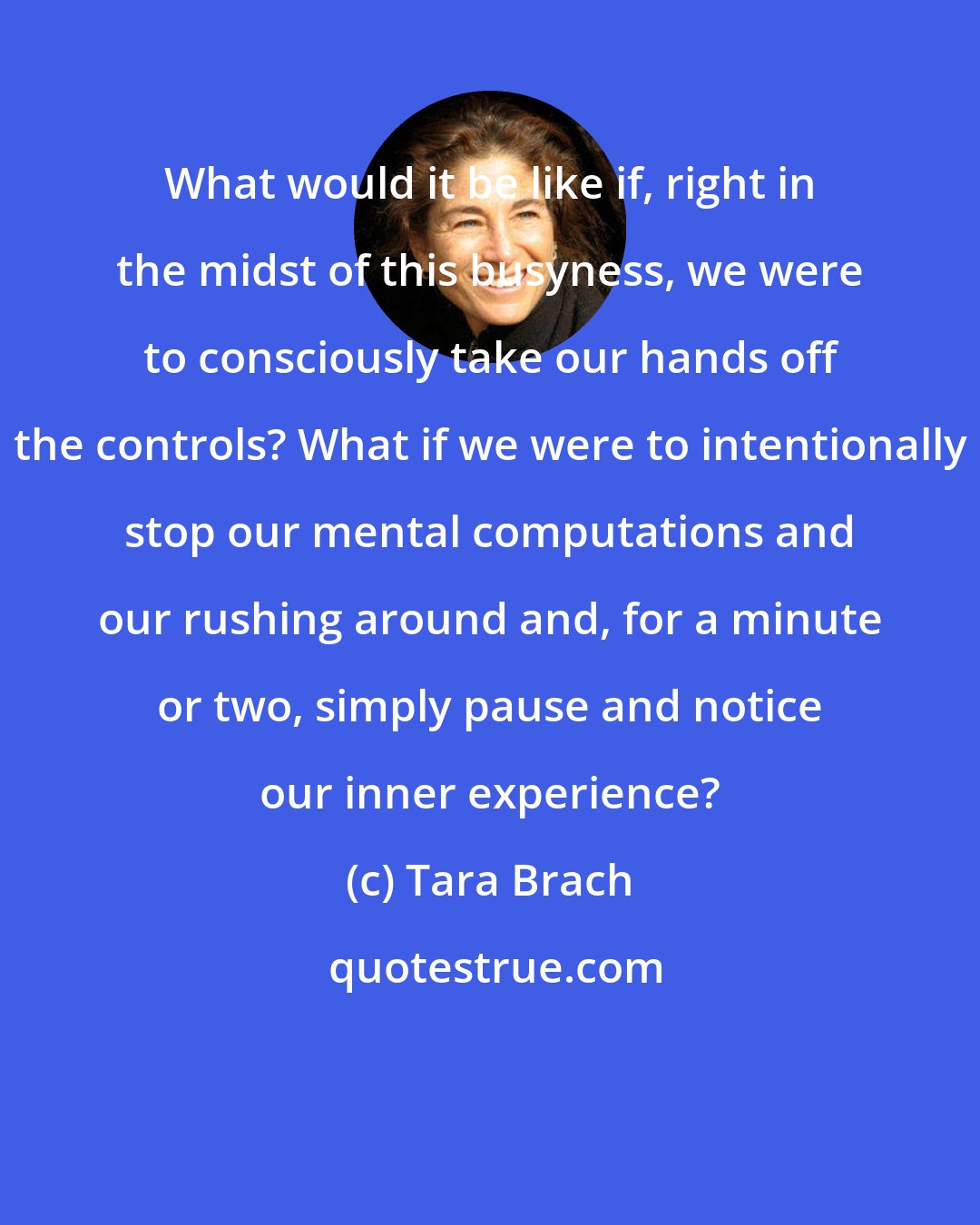 Tara Brach: What would it be like if, right in the midst of this busyness, we were to consciously take our hands off the controls? What if we were to intentionally stop our mental computations and our rushing around and, for a minute or two, simply pause and notice our inner experience?