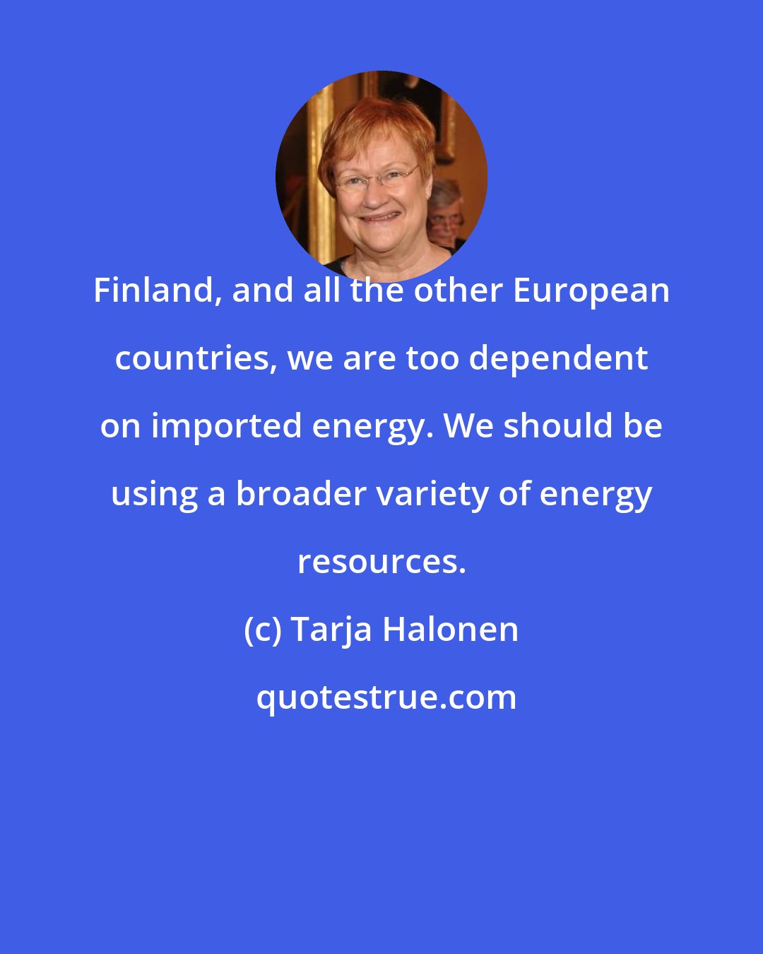 Tarja Halonen: Finland, and all the other European countries, we are too dependent on imported energy. We should be using a broader variety of energy resources.