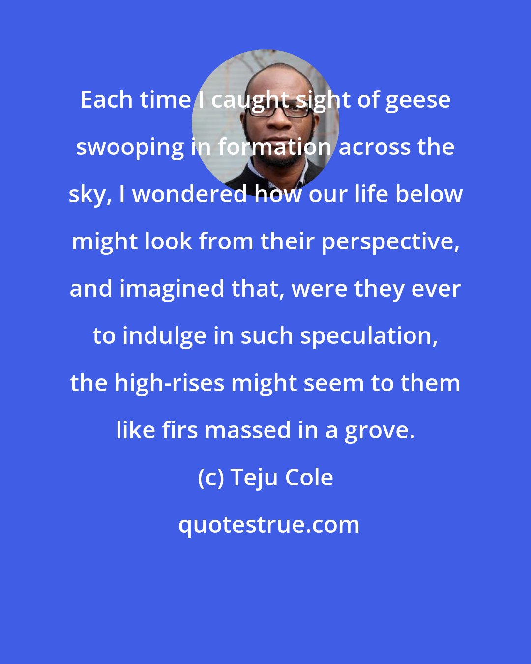 Teju Cole: Each time I caught sight of geese swooping in formation across the sky, I wondered how our life below might look from their perspective, and imagined that, were they ever to indulge in such speculation, the high-rises might seem to them like firs massed in a grove.