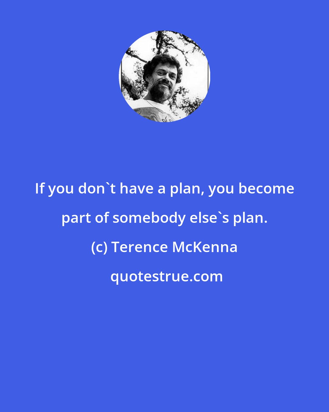 Terence McKenna: If you don't have a plan, you become part of somebody else's plan.