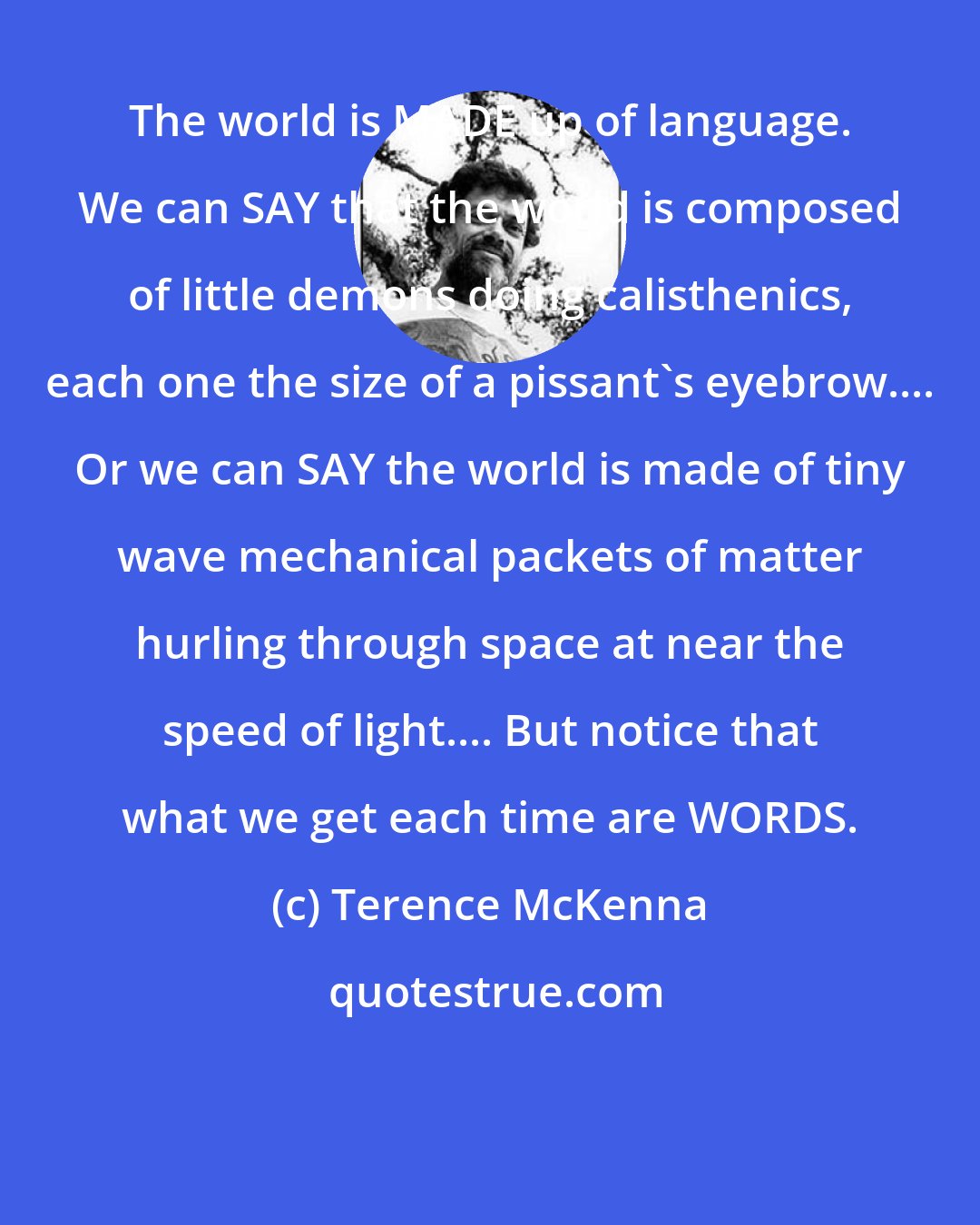 Terence McKenna: The world is MADE up of language. We can SAY that the world is composed of little demons doing calisthenics, each one the size of a pissant's eyebrow.... Or we can SAY the world is made of tiny wave mechanical packets of matter hurling through space at near the speed of light.... But notice that what we get each time are WORDS.