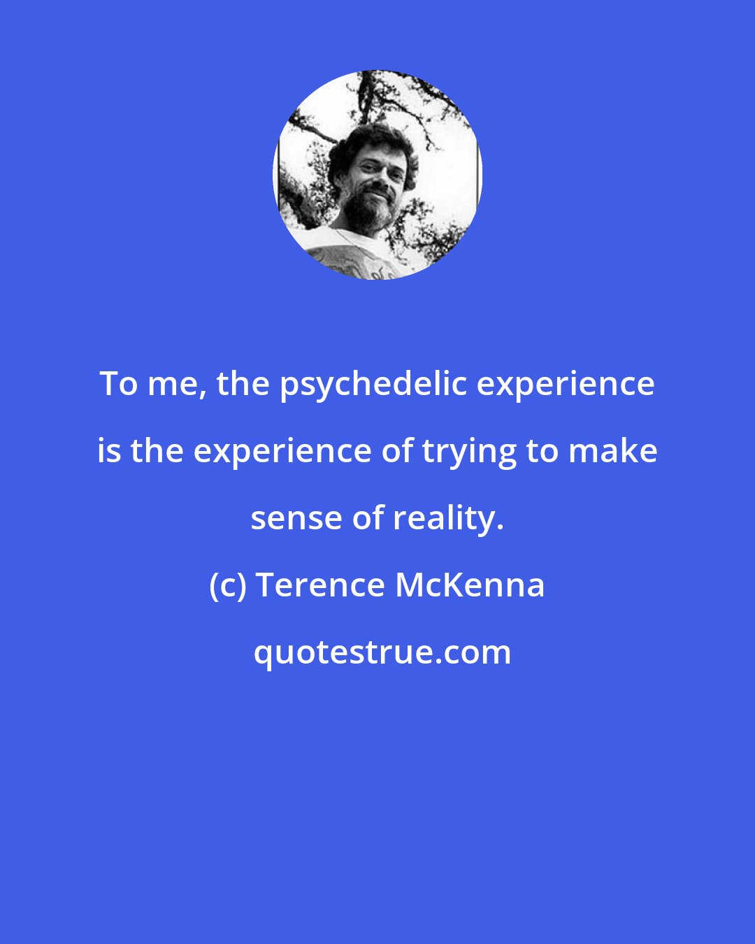 Terence McKenna: To me, the psychedelic experience is the experience of trying to make sense of reality.