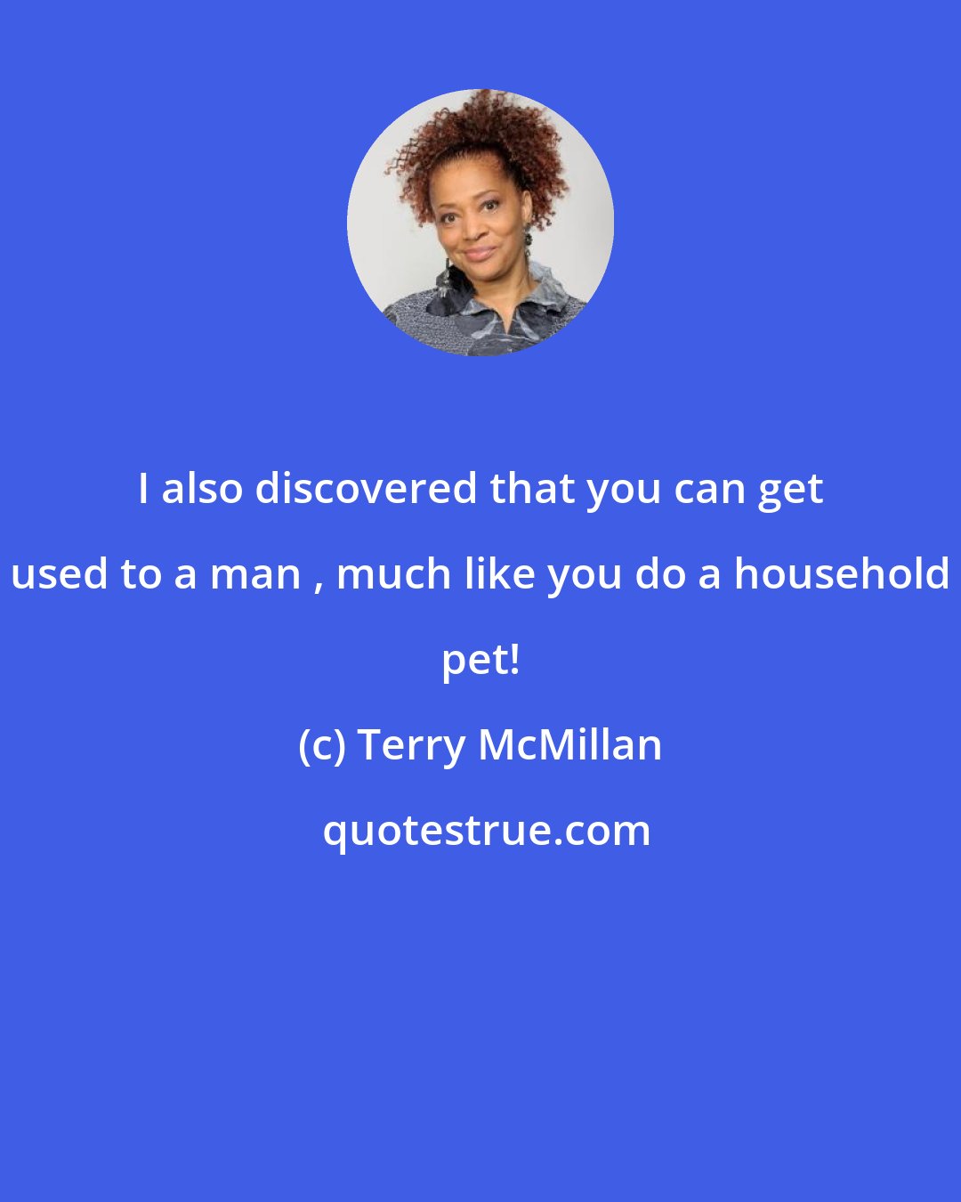 Terry McMillan: I also discovered that you can get used to a man , much like you do a household pet!