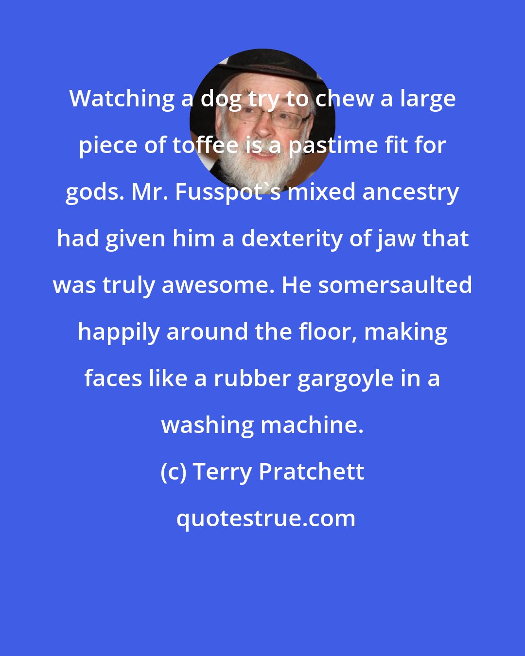 Terry Pratchett: Watching a dog try to chew a large piece of toffee is a pastime fit for gods. Mr. Fusspot's mixed ancestry had given him a dexterity of jaw that was truly awesome. He somersaulted happily around the floor, making faces like a rubber gargoyle in a washing machine.