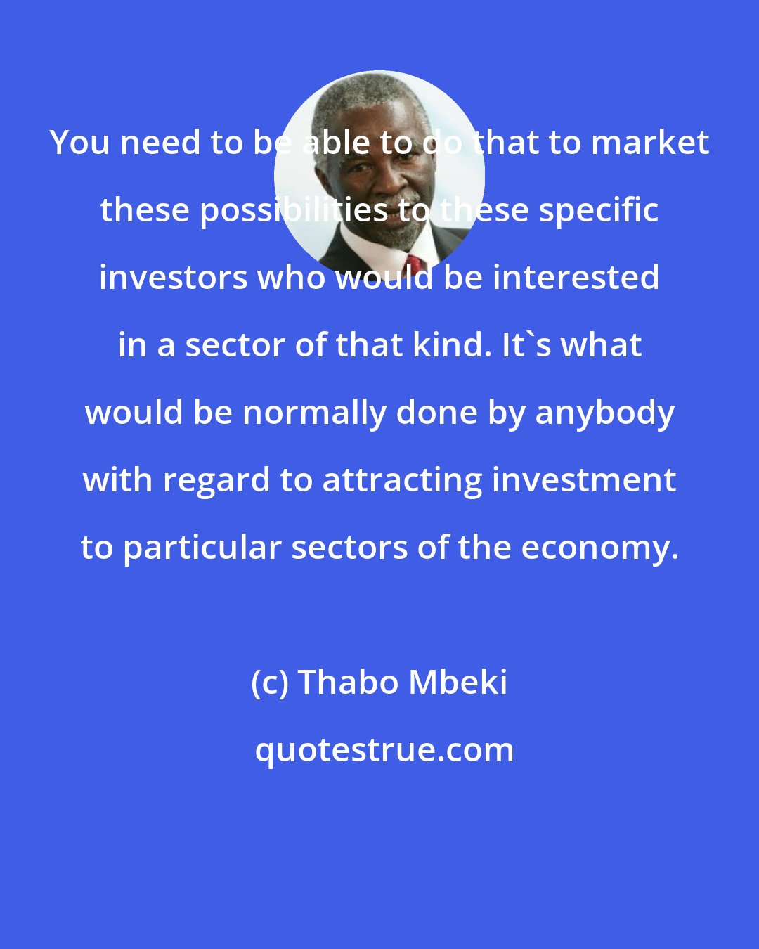 Thabo Mbeki: You need to be able to do that to market these possibilities to these specific investors who would be interested in a sector of that kind. It's what would be normally done by anybody with regard to attracting investment to particular sectors of the economy.