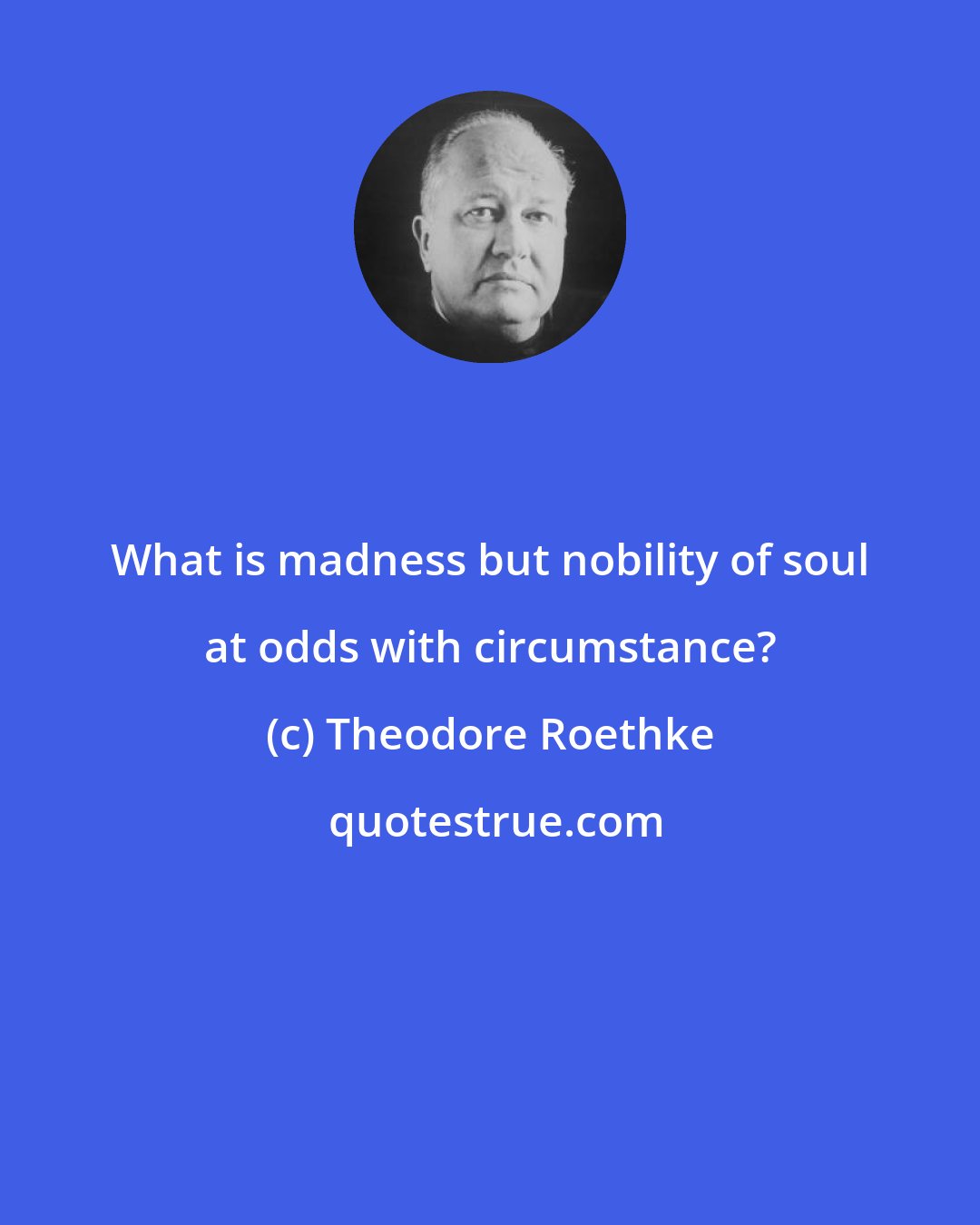 Theodore Roethke: What is madness but nobility of soul at odds with circumstance?