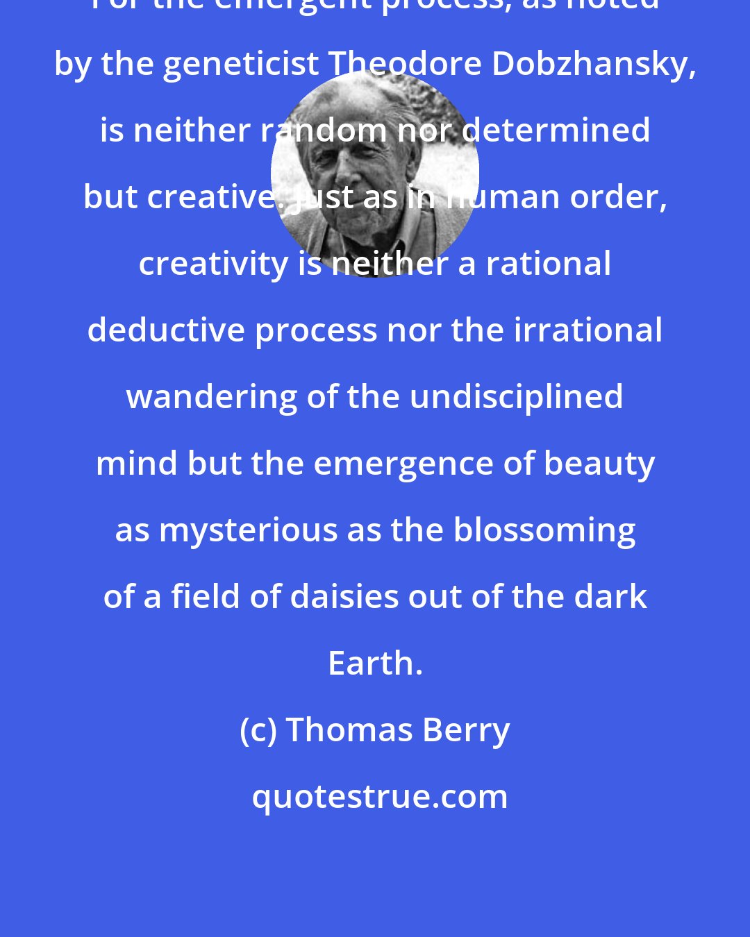 Thomas Berry: For the emergent process, as noted by the geneticist Theodore Dobzhansky, is neither random nor determined but creative. Just as in human order, creativity is neither a rational deductive process nor the irrational wandering of the undisciplined mind but the emergence of beauty as mysterious as the blossoming of a field of daisies out of the dark Earth.