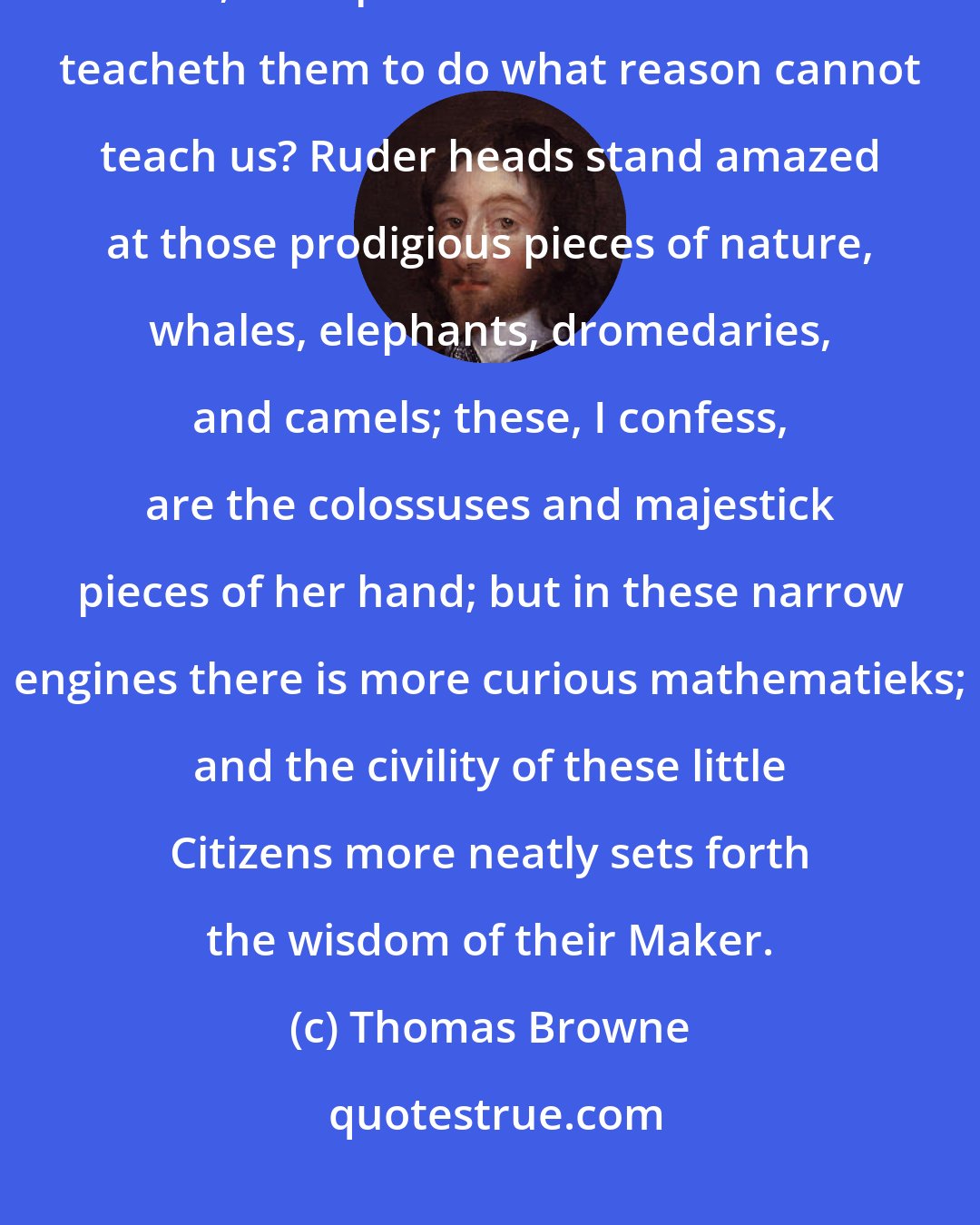 Thomas Browne: ... indeed, what reason may not go to school to the wisdom of bees, ants, and spiders? What wise hand teacheth them to do what reason cannot teach us? Ruder heads stand amazed at those prodigious pieces of nature, whales, elephants, dromedaries, and camels; these, I confess, are the colossuses and majestick pieces of her hand; but in these narrow engines there is more curious mathematieks; and the civility of these little Citizens more neatly sets forth the wisdom of their Maker.