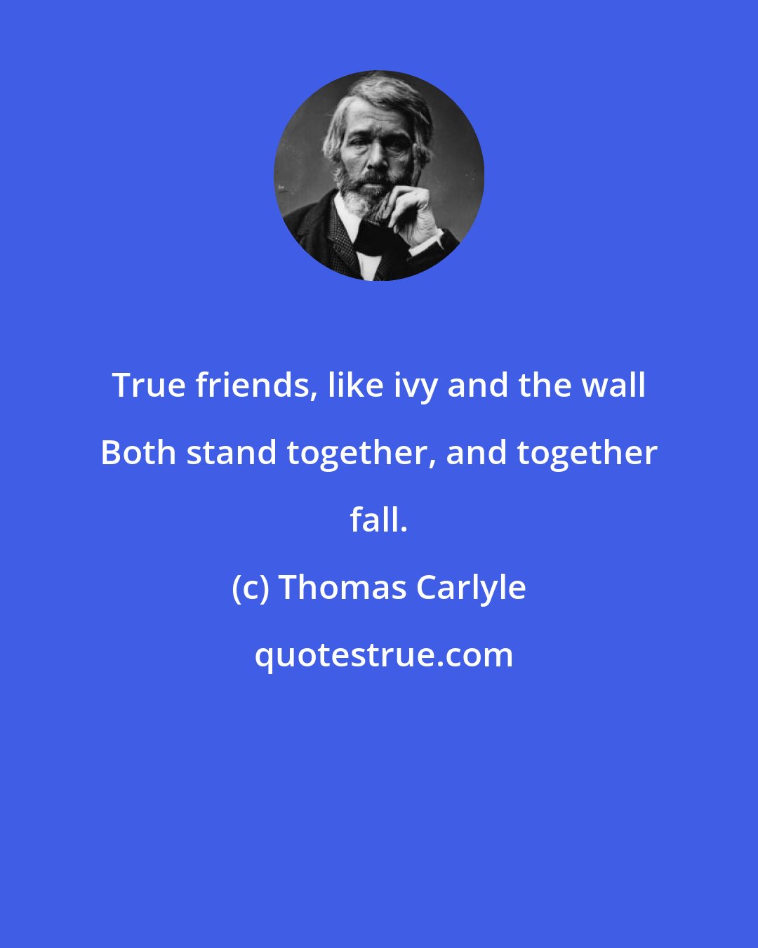 Thomas Carlyle: True friends, like ivy and the wall Both stand together, and together fall.